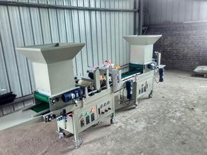 氣吸針頭式全自動蔬菜花卉種子穴盤精量播種機 現代精準農業的高效利器