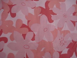 全棉棉布印花 盛港針紡織布業的發展與創新