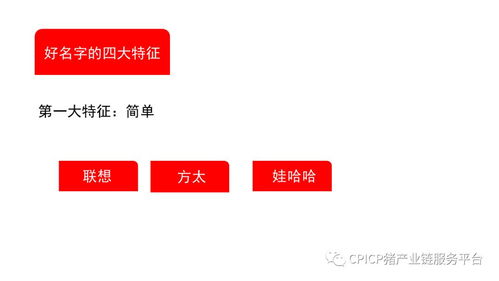 從無到有 肖一刀如何打造豬肉品牌的創(chuàng)新之路